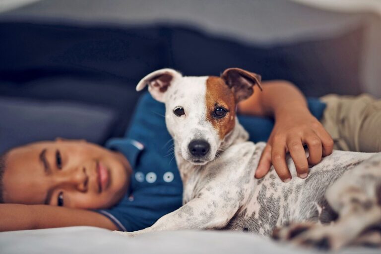 Erstaunliche Hunde für ein erfülltes Familienleben