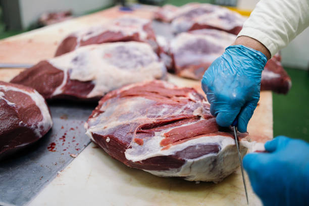 Hereford-Weidefleisch: Natürliche Aufzucht und unverwechselbarer Geschmack